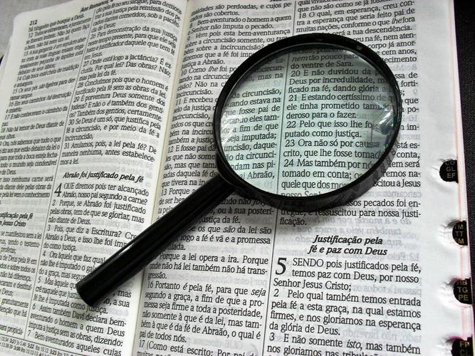 纤毫毕现 一把精致放大镜中的微观宇宙